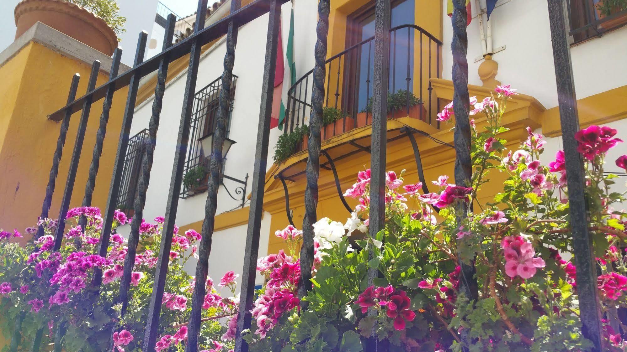 Casa De Los Naranjos Hotel Cordoba Exterior photo